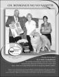 1261164262_b&amp;w-winsong.jpg