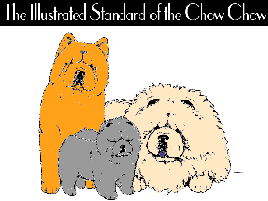 Illustrated Standard Front Page gif